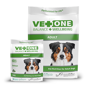 VetONE Dog Adult