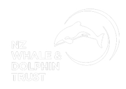 Logo-NZ-Whale-Dolphin-Trust-white-sml